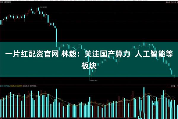 一片红配资官网 林毅：关注国产算力  人工智能等板块